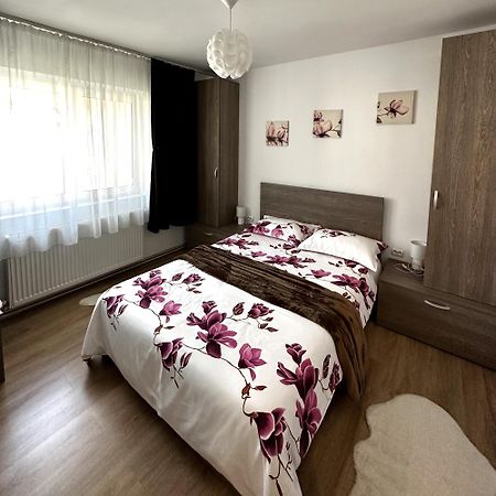 Iali Apartment Sinaia Dış mekan fotoğraf