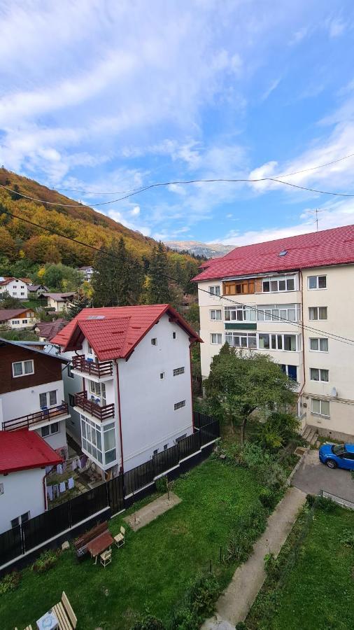 Iali Apartment Sinaia Dış mekan fotoğraf