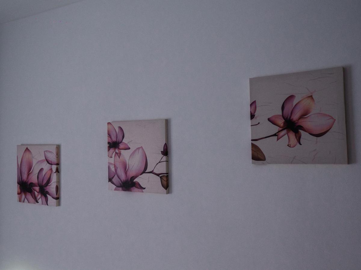 Iali Apartment Sinaia Dış mekan fotoğraf